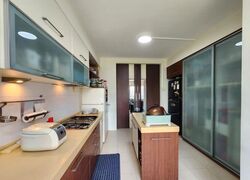 Blk 246 Bangkit Road (Bukit Panjang), HDB 5 Rooms #620223961